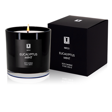 Eucalyptus Mint | Luxury Scented Candle | 9 Oz. Jar