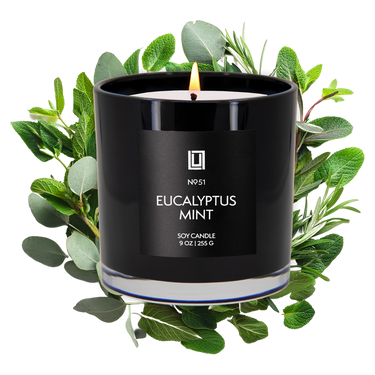 Eucalyptus Mint | Luxury Scented Candle | 9 Oz. Jar