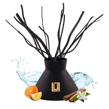 No. 5 Ocean | Marine, Sea Breeze, Eucalyptus | Luxury Reed Diffuser Set | 10 FL Oz. Capacity Matte Black Glass with 1 (4.2 Oz.) Diffuser Oil